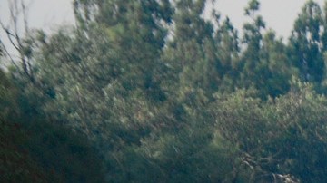 Incendio California Bomberos Los Ángeles Glendale