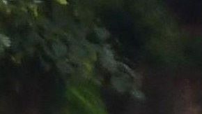 La Policía en Dayton, Ohio, el domingo en la mañana.