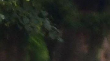 La Policía en Dayton, Ohio, el domingo en la mañana.