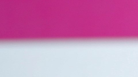 Paola Longoria está a un oro de convertirse en la atleta mexicana más ganadora de Juegos Panamericanos.