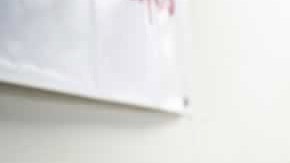 30 de los inmigrantes fueron puestos en libertad en la propia planta.