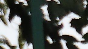 Las pruebas de toxicología encontraron que tenía un alto nivel de saturación de monóxido de carbono