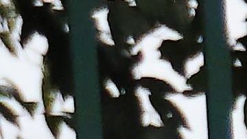 Las pruebas de toxicología encontraron que tenía un alto nivel de saturación de monóxido de carbono