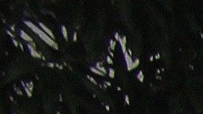 Cada vez más familias abandonan su intento de llegar a Estados Unidos.