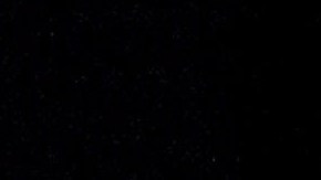 La representante dijo sin tapujos que hay un supremacista blanco en la Casa Blanca.