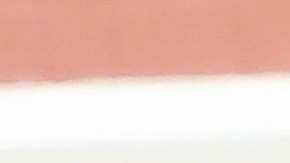 El presidente atacó a China a director de Fed y a periodistas.