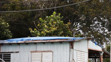 Una casa rústica con toldo azul sobre el techo para protección en Ponce, en la costa sur de Puerto Rico.