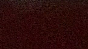 Miguel 'Piojo' Herrera, director técnico del Club América.