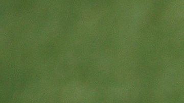 Todo parece indicar que Neymar se quedará en el Paris Saint Germain.