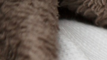 El último varón que nació fue hace 10 años.