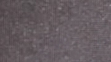 Ana Brenda Contreras