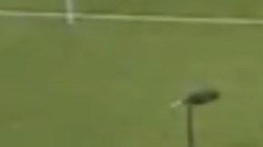 Las imágenes muestran que el silbante fue alcanzado por un objeto lanzado desde la tribuna y el cuarto árbitro continuó con el juego