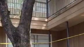 El incidente ocurrió en un complejo de apartamentos ubicado en la cuadra 6000 de la calle Beverly Hill.