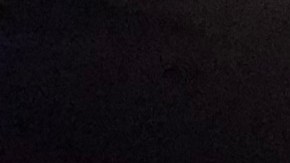 Aún sin la presencia de Bernie Sanders,  cientos de seguidores y voluntarios de su campaña para la presidencia, se han reunido para planear estrategias electorales. (Foto suministrada).