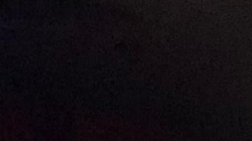 Aún sin la presencia de Bernie Sanders,  cientos de seguidores y voluntarios de su campaña para la presidencia, se han reunido para planear estrategias electorales. (Foto suministrada).