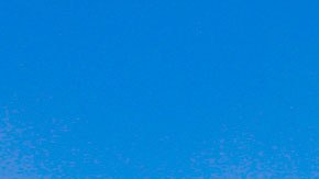 El bosque de Chapultepec le ganó a parques de Nueva Zelanda y Malasia.