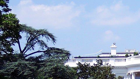 En este lugar hay trabajos muy peculiares que la gente tiene que hacer.