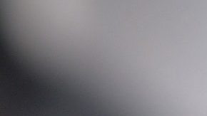 Pide $30,000 por el animal.