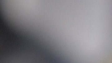 Pide $30,000 por el animal.