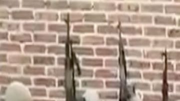 VIDEO: CJNG exhibe interrogatorio de El Michoacano y amenaza a El Marro