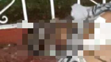 CJNG hace explotar a supuesto rival del Cártel de Los Viagras y así lo dejaron