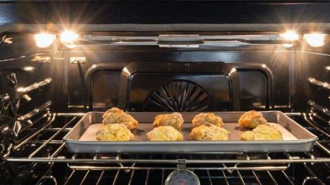 cocinar horno