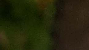 Cristobal Chávez tuvo que endeudarse para extraer agua, pero cuando lo logró el líquido estaba contami-nado. (Eduardo Stanley)