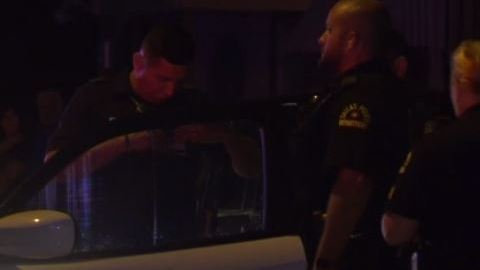 El reporte de la policía informa que alguien sacó una pistola y disparó cuando un grupo de personas comenzó a protagonizar una pelea.