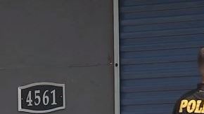 La red clandestina presuntamente distribuyó ilegalmente 23 millones de píldoras de opioides.