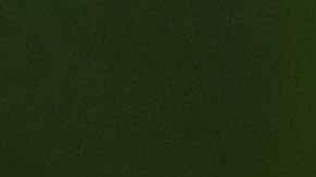 Diego Reyes decidió ir a jugar con los Tigres a Monterrey.