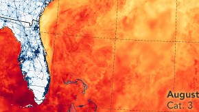 El mapa muestra la temperatura de la ssuperficie del mar el 28 de agosto de 2019. Joshua
