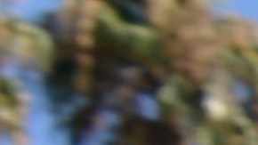 “No a las prisiones en el Inland Empire”, se lee en un letrero./ foto: Alejandro Cano.