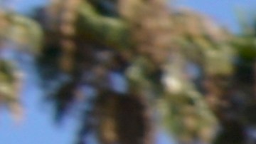 “No a las prisiones en el Inland Empire”, se lee en un letrero./ foto: Alejandro Cano.