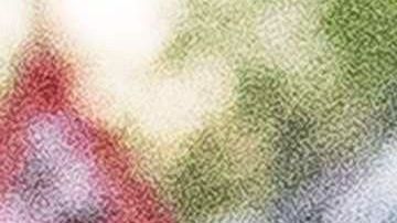 El flamante campeón será condecorado con la Cruz de Boyacá, la distinción más importante que se otorga en este país