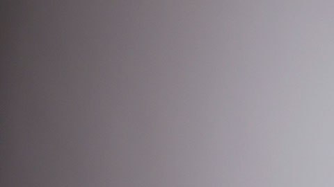 Estos empleos requieren que tengas capacidad de leer una gran cantidad de documentos.
