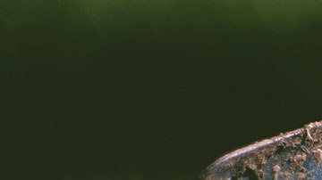 El astuto joven se aprovechó de la política de devoluciones de la empresa.