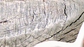 El consumo de fructosa se relaciona con el crecimiento tumoral