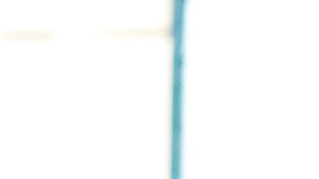 Julio Cesar Furch celebra su segunda anotación ante el Puebla.