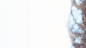 El mandatario se ha autoelogiado toda la semana.