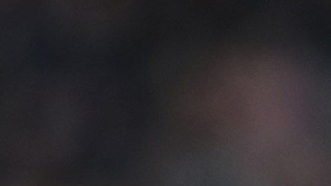 "Chicharito" le anotó al Brighton su primer gol de la temporada en la Liga Premier.