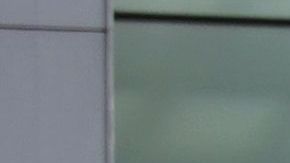 EL NYPD desconoce el monto de lo robado.