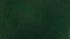 Enrique Tarrio, líder de Proud Boys, y Joe Biggs, organizador de la manifestación en Portland en 2019.