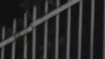 Gremio vino de atrás para llevarse el pase a la semifinal de la Libertadores.