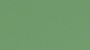 Roger federer se despidió temprano del Masters de Cincinnati, víctima del buen juego de Andrey Rublev.