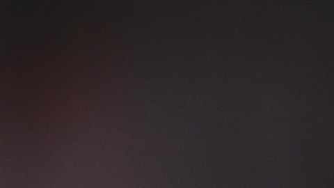 Javier "Chicharito" Hernández está a unas horas de fichar por el Sevilla.