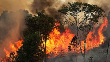 Incendio Amazonas Brazil Brasil