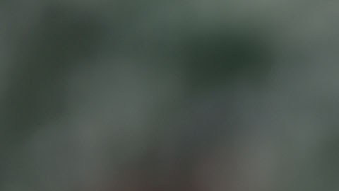 Mario Williams fue arrestado por invadir propiedad privada.