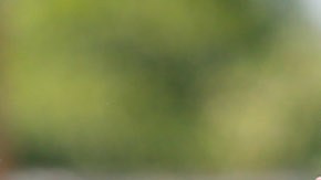 El excapitán del Flamengo recibió una condenado a 22 años y 3 meses de prisión por el macabro asesinato de Eliza Samúdio