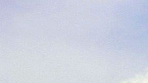 Los votantes dijeron no la xenofobia. (Getty Images)