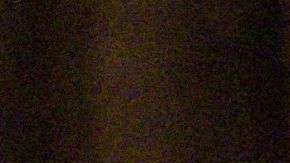 Trump hace sentir su poder en la decisiones de vicepresidente Pence